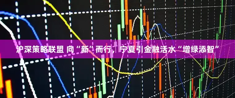 沪深策略联盟 向“新”而行，宁夏引金融活水“增绿添智”