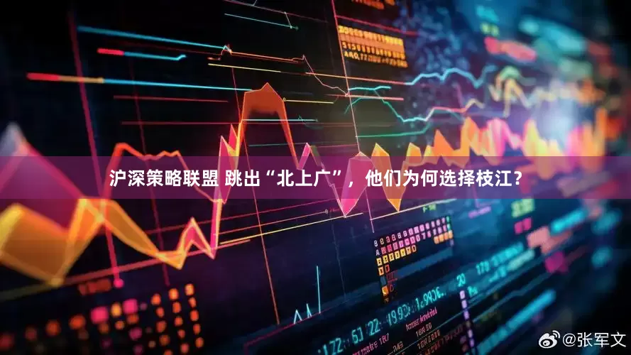 沪深策略联盟 跳出“北上广”，他们为何选择枝江？