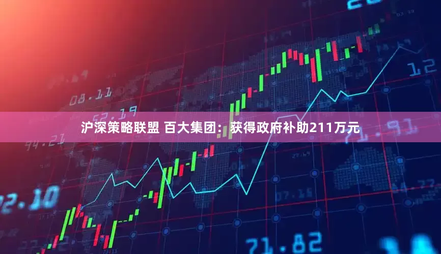 沪深策略联盟 百大集团：获得政府补助211万元